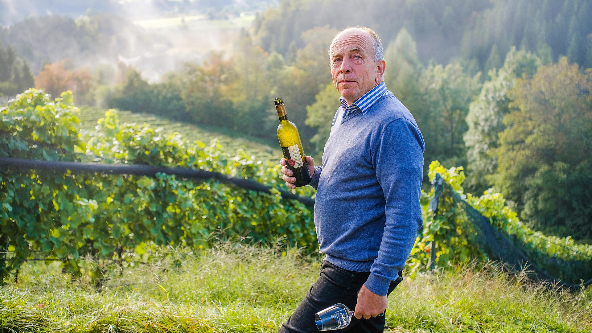 Franz Laßnig steht im Weingarten der Burg Glanegg mit einer Weinflasche in der Hand, umgeben von Reben und Landschaft.