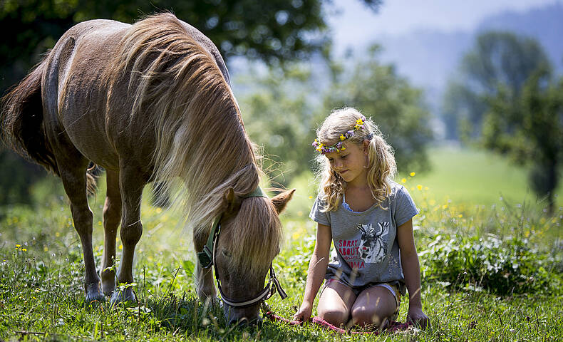 Urlaub am Bauernhof auf der Weide
