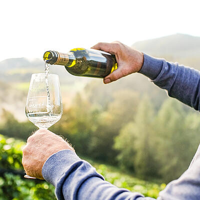 Franz Laßnig schenkt Burgwein Glanegg in ein Glas im Weingarten mit Blick auf die grünen Hügel.