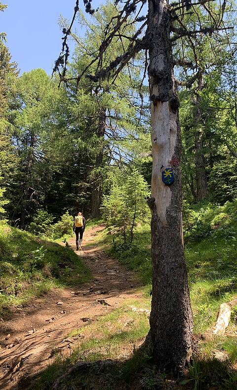 Alpe-Adria-Trail Etappe 13 Anstieg zum Jufenkreuz