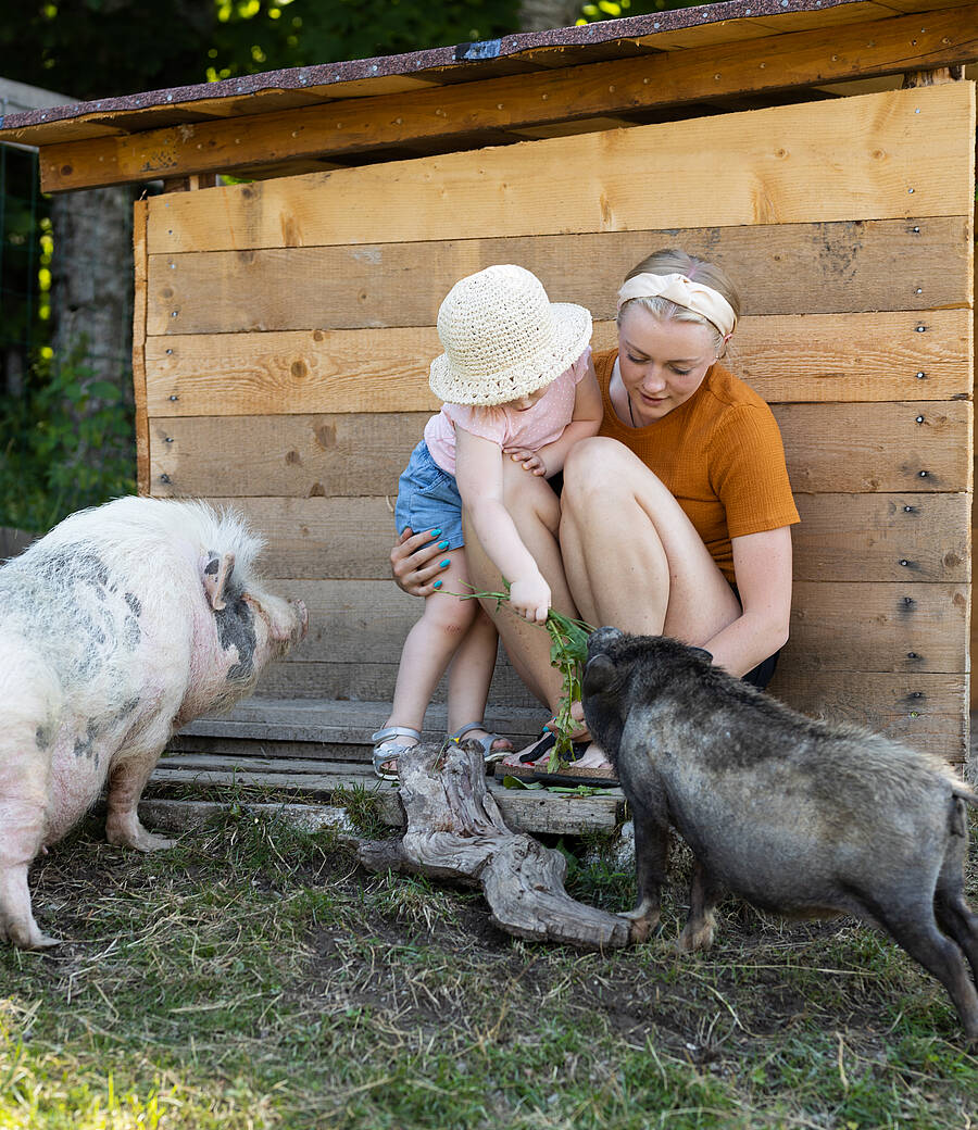 Eine erwachsene Person und ein Kind sitzen vor einem kleinen Holzstall und interagieren mit mehreren Schweinen auf einem Bauernhof. Die Szene zeigt natürliche Umgebung, Tiere und einen liebevoll gestalteten Hofbereich.