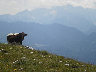 Wandererlebnis im Gitschtal &ndash; zwei N&auml;chte, zwei Almen