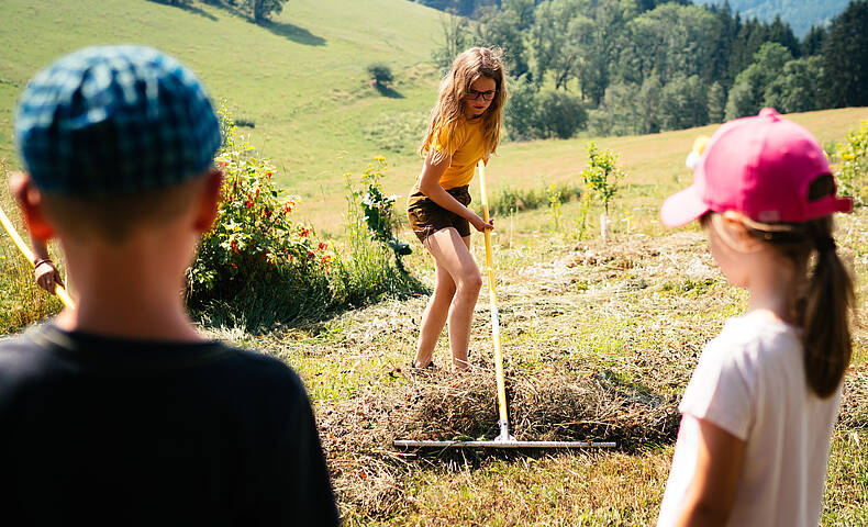 Kinder machen Heu beim Zechnerhof 