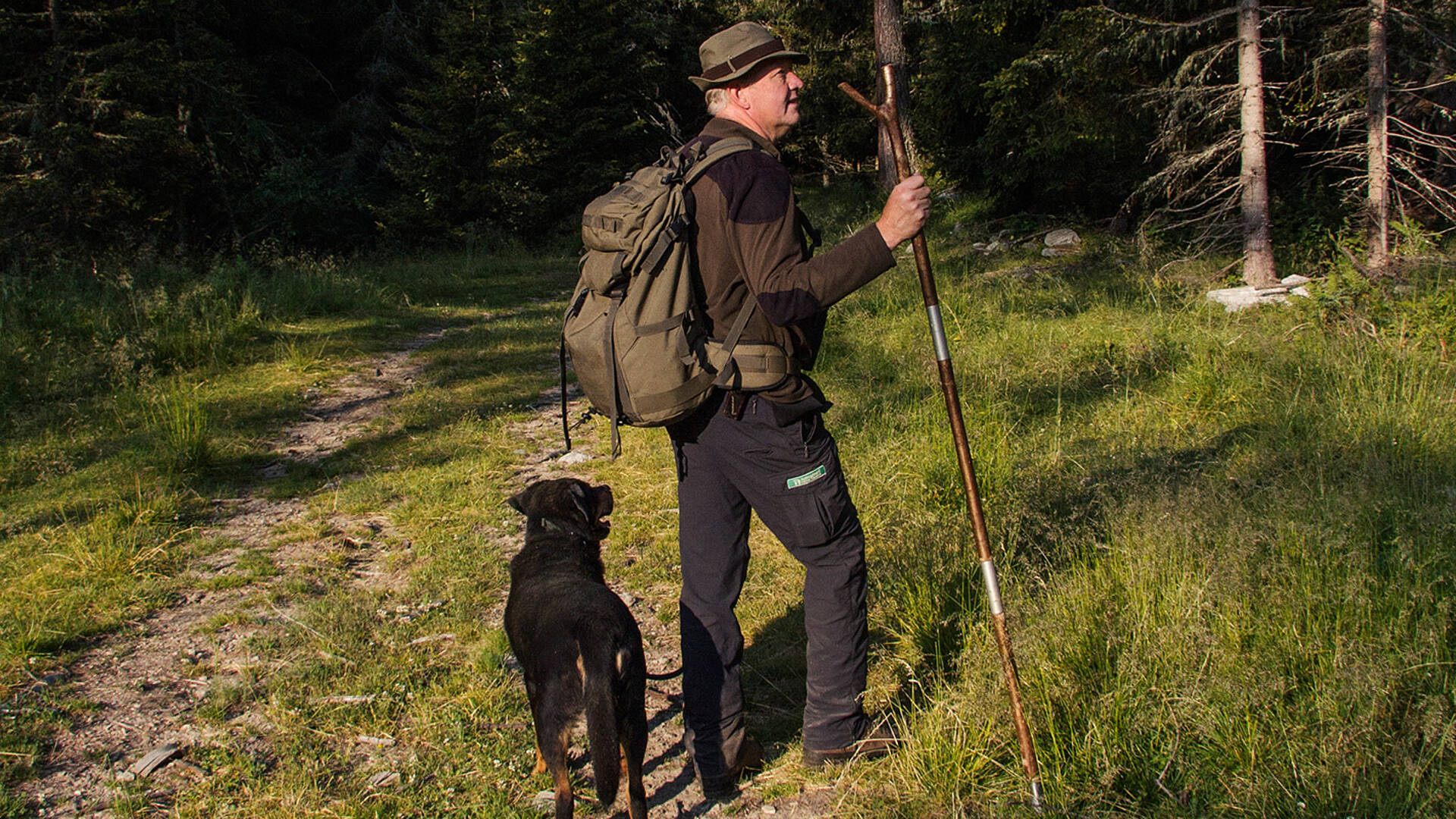 Wandern mit Hund im Wald