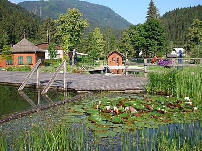Naturschwimmbad Waldbad in Mauthen 