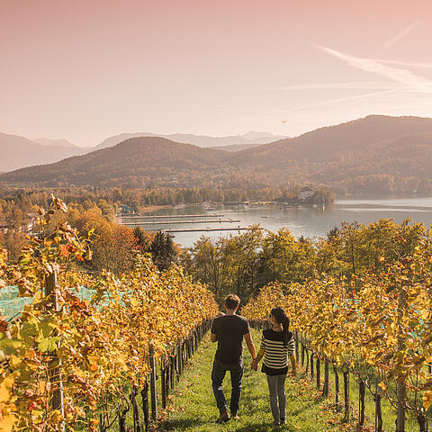 Familie am Weinberg in Klagenfurt am Woerthersee