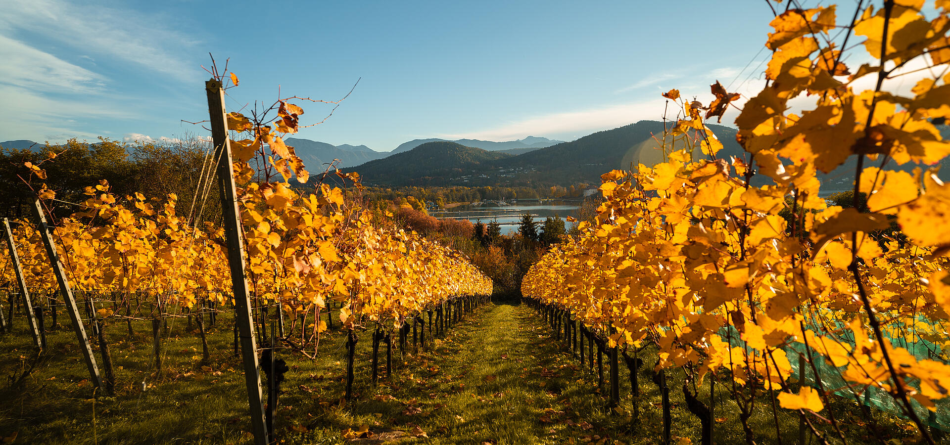 Klagenfurt Weingarten im Herbst