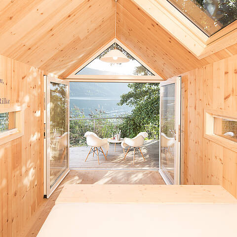 Biwak Schilf Canna palustre