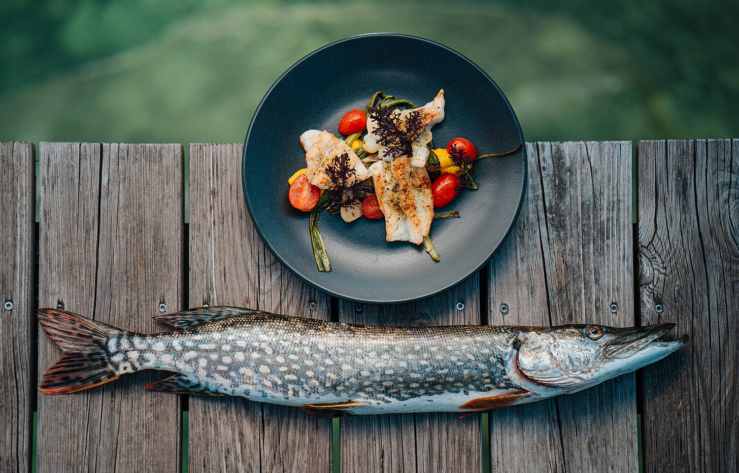 Kulinarik am Klopeiner See Fischgericht mit Hecht 