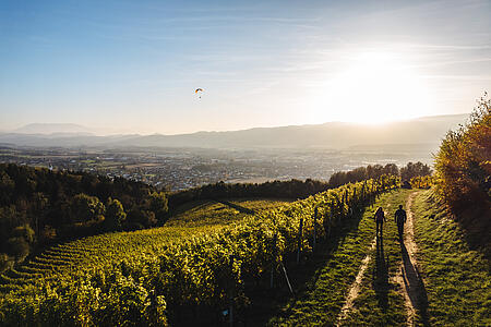  Slow Food: Weinlese erleben - Mit Hand, Herz und Herkunft 