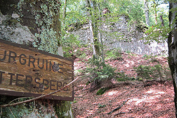 Schatzsuche im versteinerten Urwald Burgruine Pittersberg