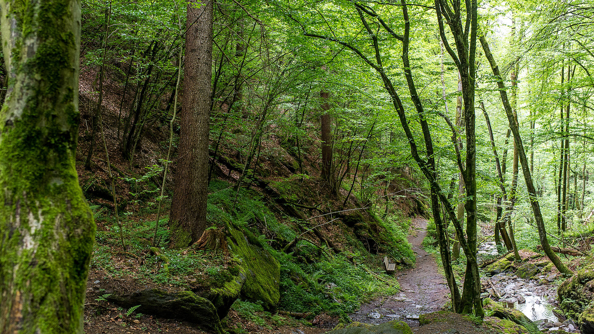 Slow Trail Römerschlucht in Velden