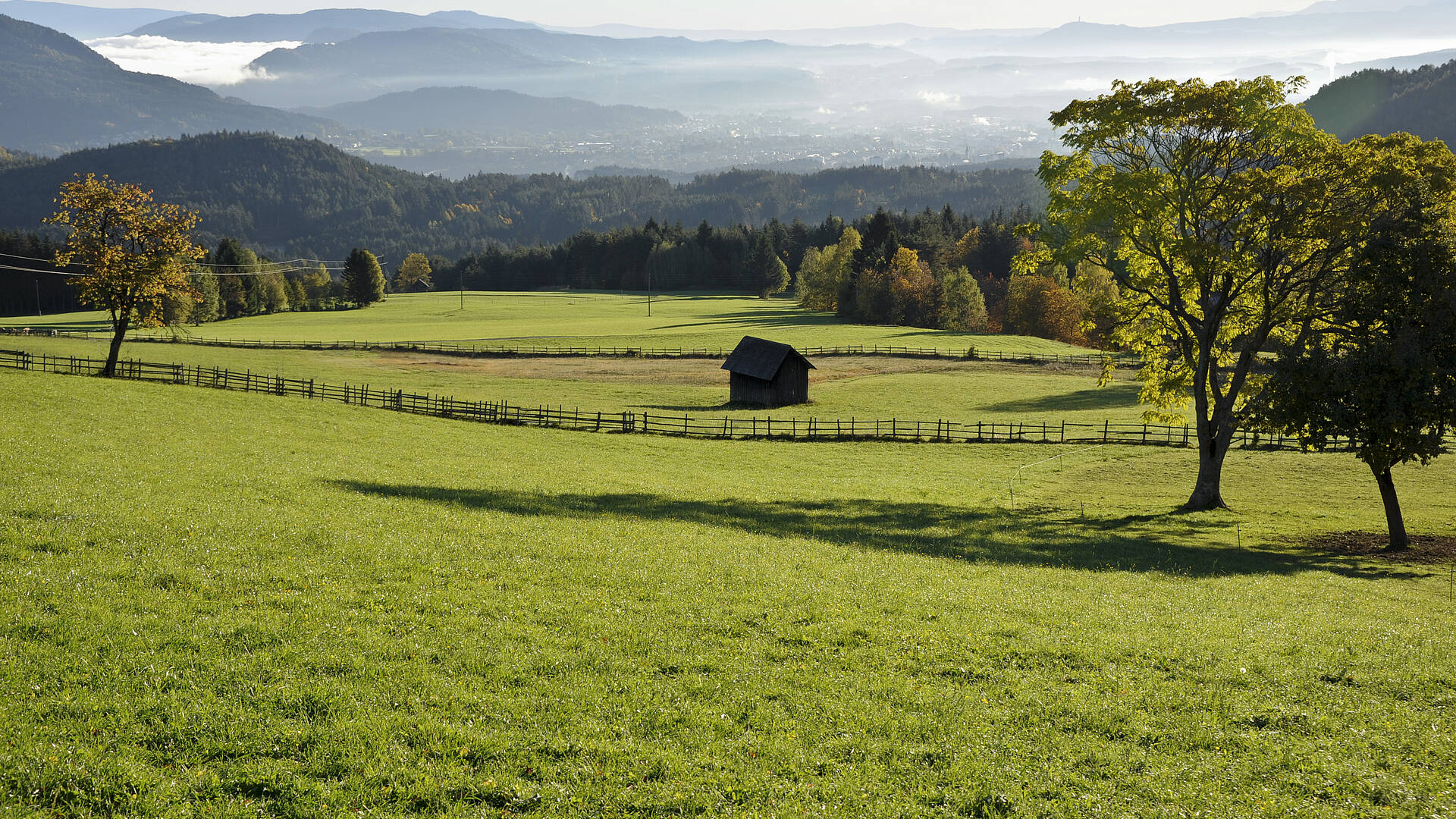 Wiese in Heiligengeist im Naturpark Dobratsch