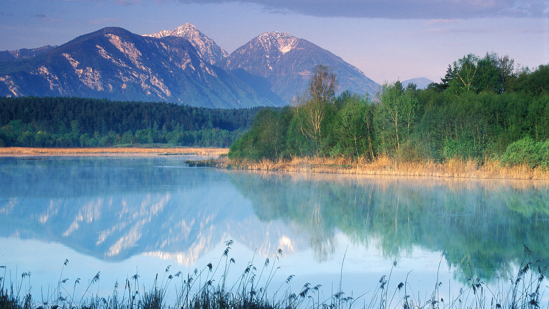 Sablatnigmoor in der Region Klopeiner See Suedkaernten