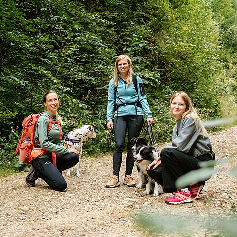 Wandern mit Hund in Kärnten Drei Frauen mit ihren Hunden wandern auf einem Waldweg in Kärnten, ausgestattet mit Rucksäcken und sportlicher Kleidung.