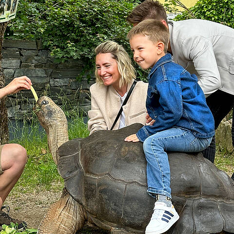 Beim Fuettern der Schildkroete im Reptilienzoo Happ Beim Fuettern der Schildkroete im Reptilienzoo Happ