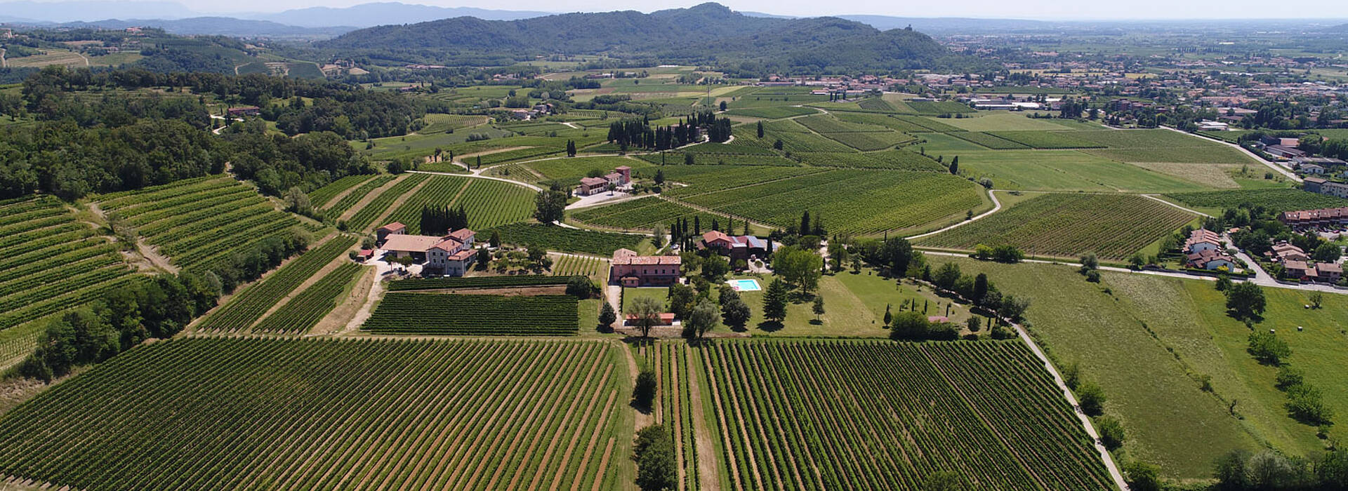 Weingut Perusini
