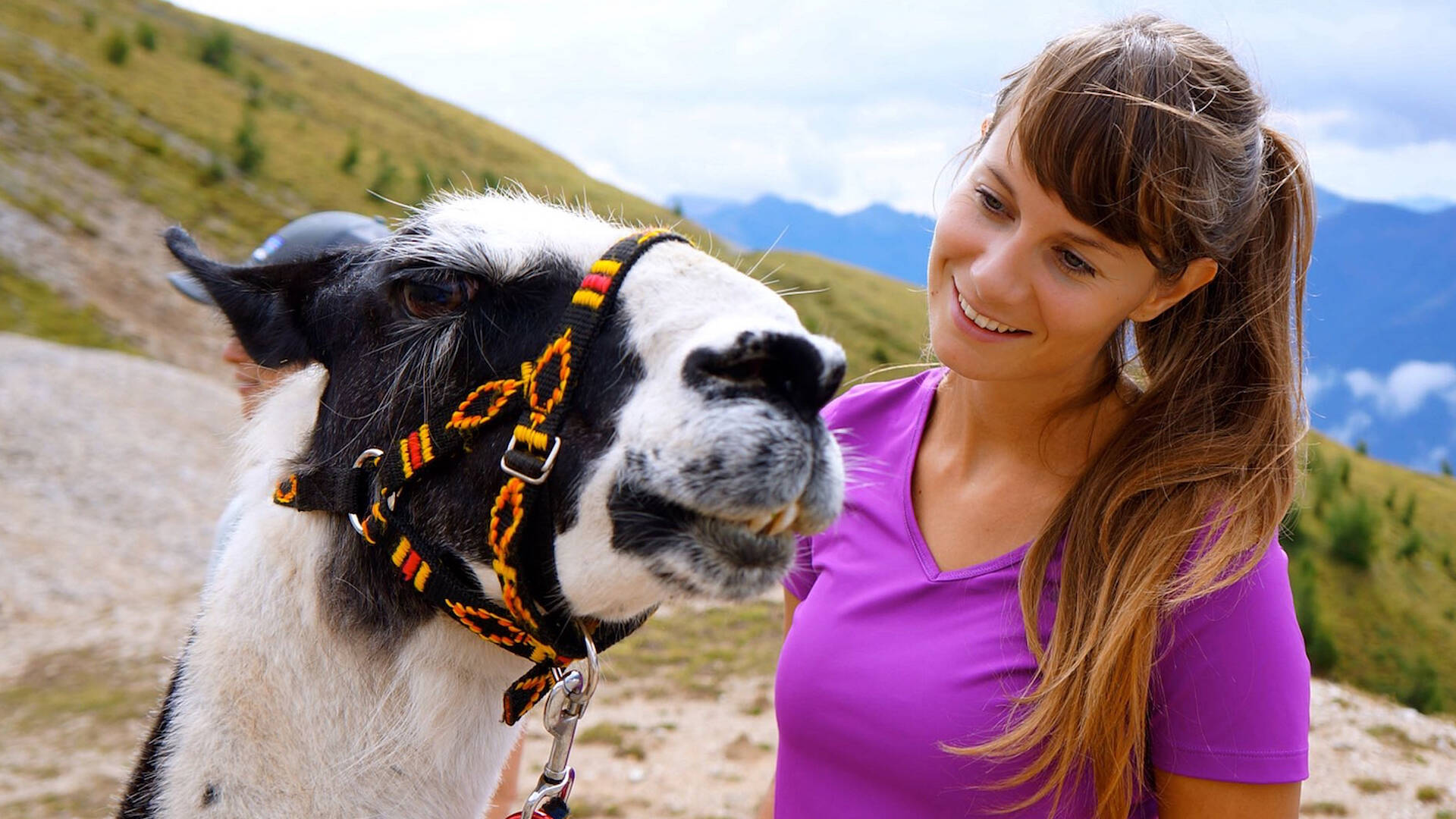 Lama-Trekking im Gailtal