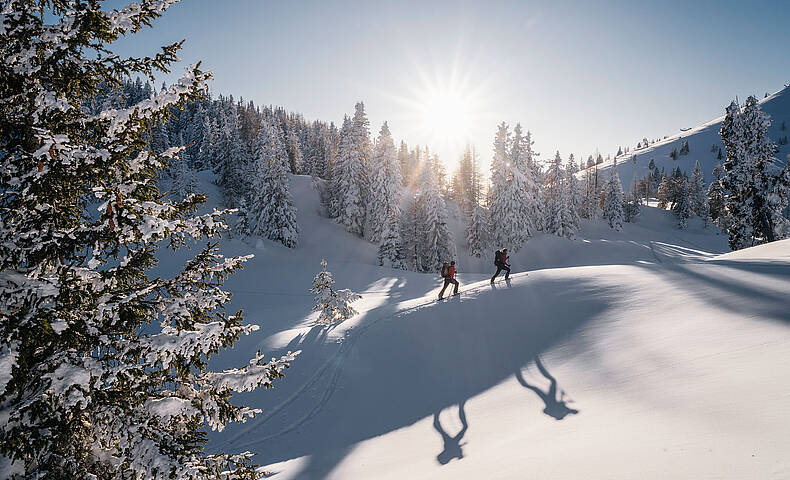 Zwei Personen bei der Skitour im Naturpark Dobratsch 