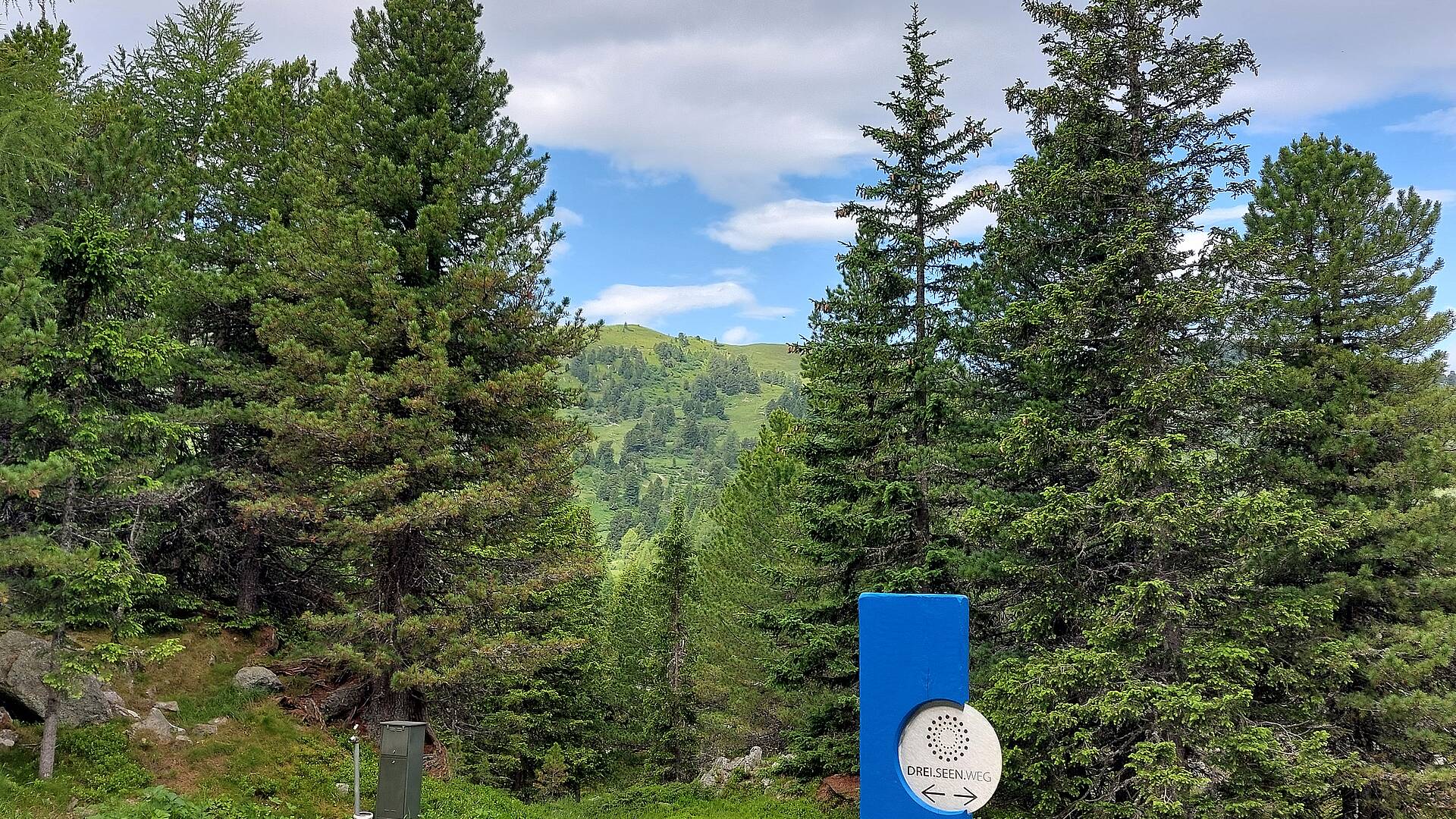 3 Seen Wanderung auf der Turracher Hoehe durch den Zirbenwald