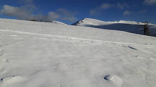 Durchs Gel&auml;nde auf die Brunnachalm und &uuml;ber die Piste ins Tal