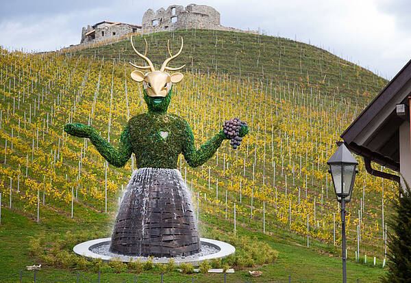 Weingut Taggenbrunn