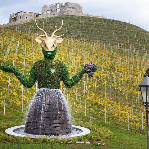 Weingut Taggenbrunn