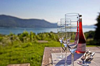 Social Kärntner Wein Steinthaler Kaernten Werbung