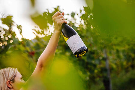  Vinum VirunumSt. Donat, 9300 St. Veit an der Glanoffice@vinumvirunum.at 