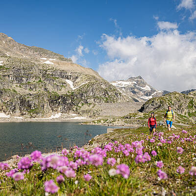 Wandern in der Nationalparkregion Hohe Tauern bei Flattach