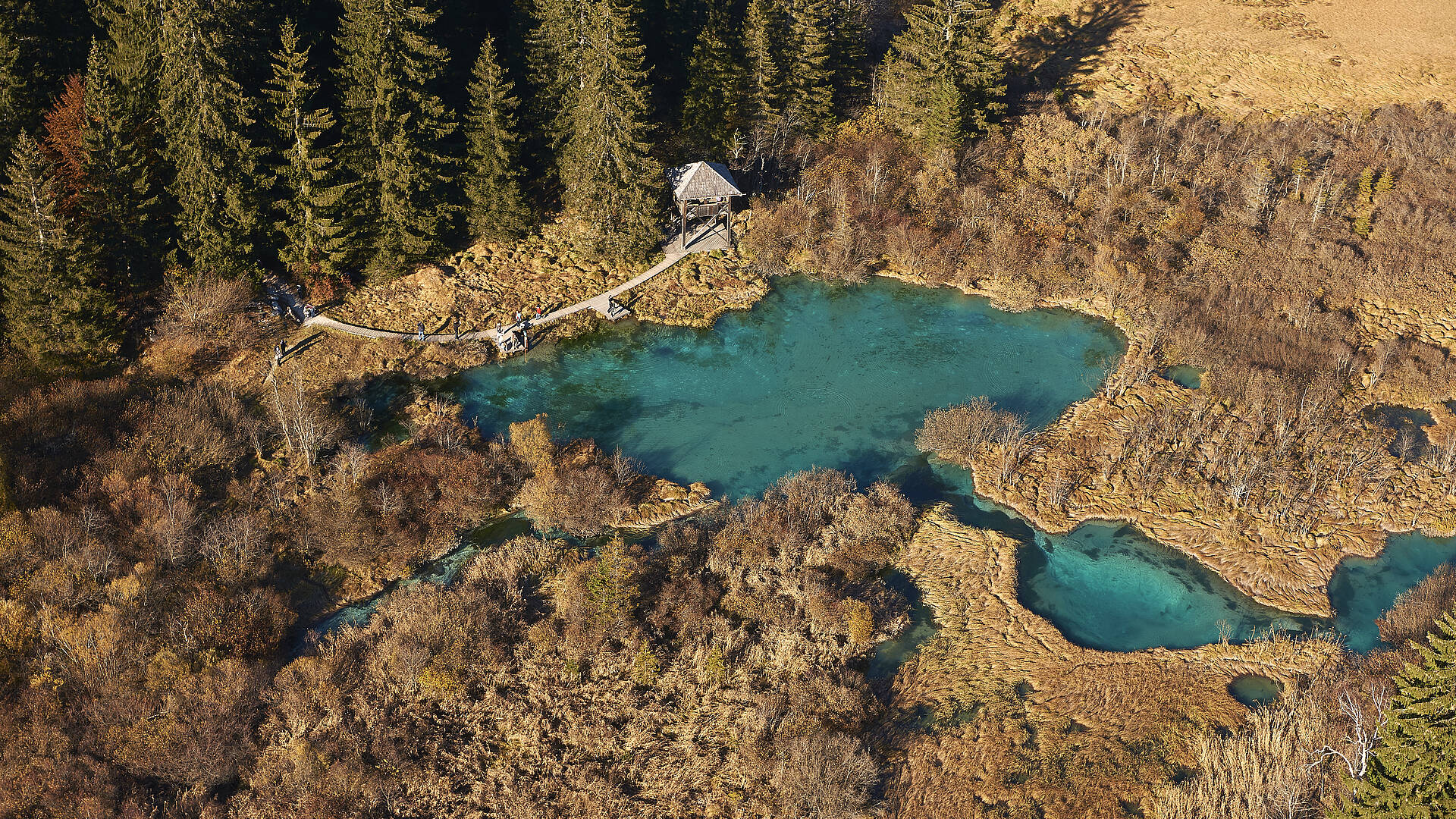 Blick auf den Zelenci See