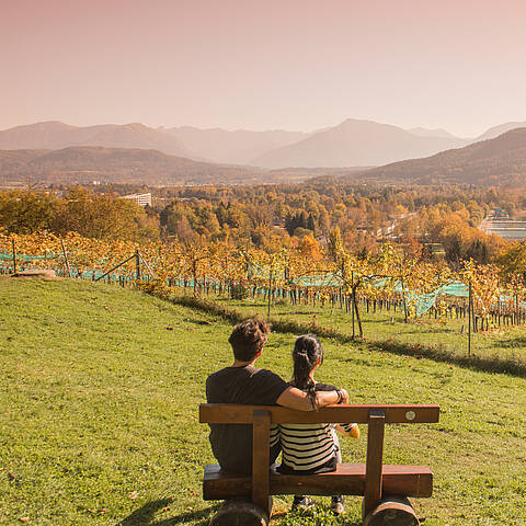 Mann und Frau genießen den Herbst am Weinberg in Klagenfurt