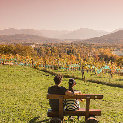 Mann und Frau genießen den Herbst am Weinberg in Klagenfurt