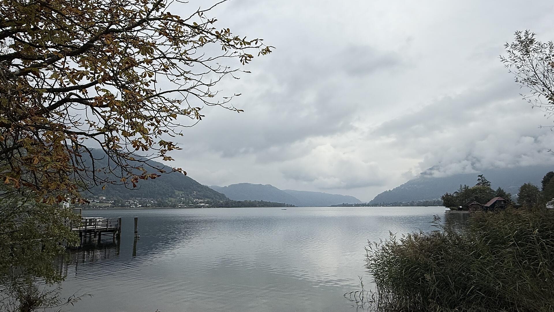 Bleistaetter Moor am Ossiacher See mit Blick auf den See