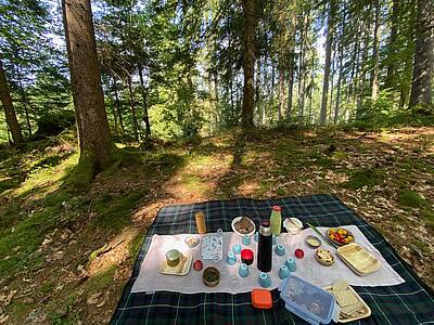 Vom Wald an den Tisch