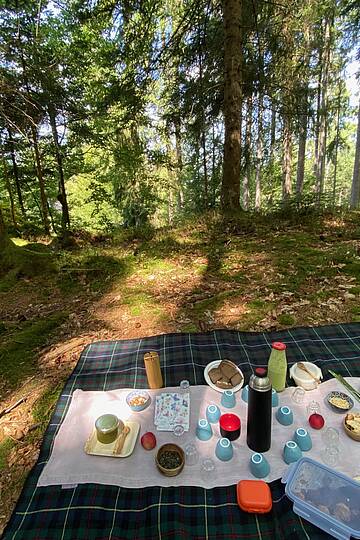 Herbstküche im Wald auf einer Picknickdecke