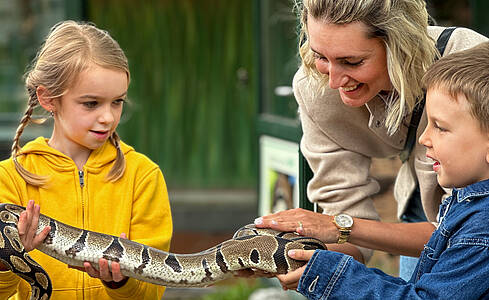 Reptilien ganz nah sein beim W&ouml;rthersee