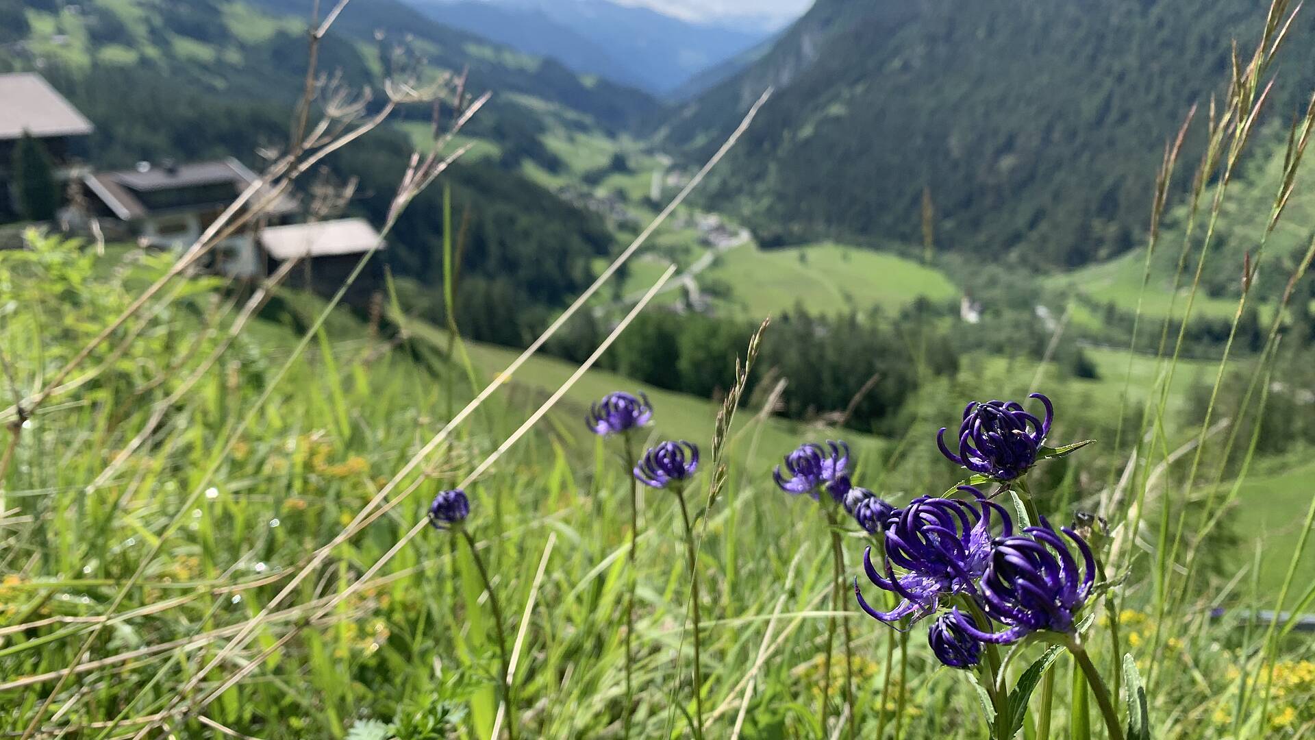 Wandern am Alpe Adria Trail 