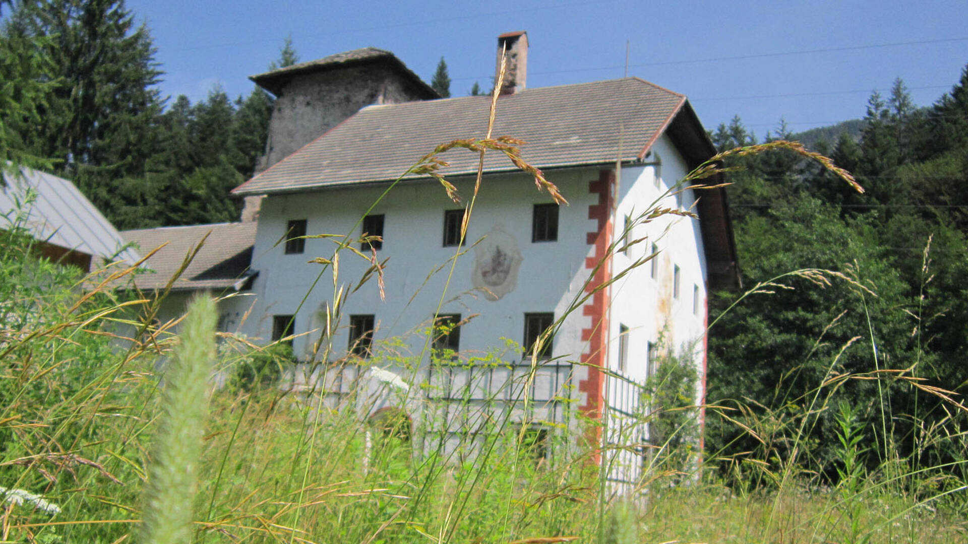 Schatzsuche im versteinerten Urwald der alte Hochofen