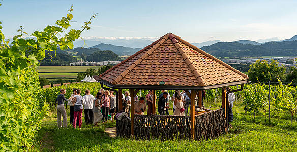 Slow Food Travel Wild Kitchen &ndash; das Sommerfest im Weingarten