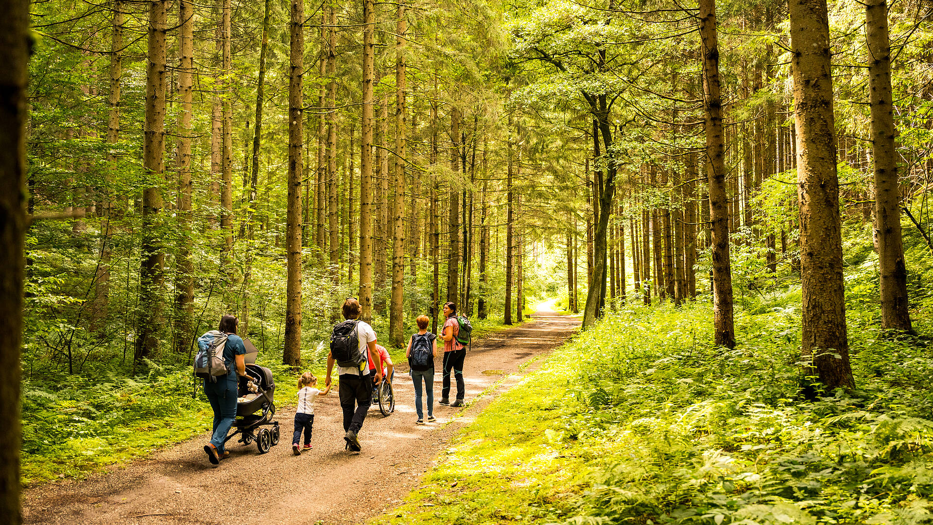 Familiengruppe mit Kleinkind und Kinderwagen im Naturpark Dobratsch