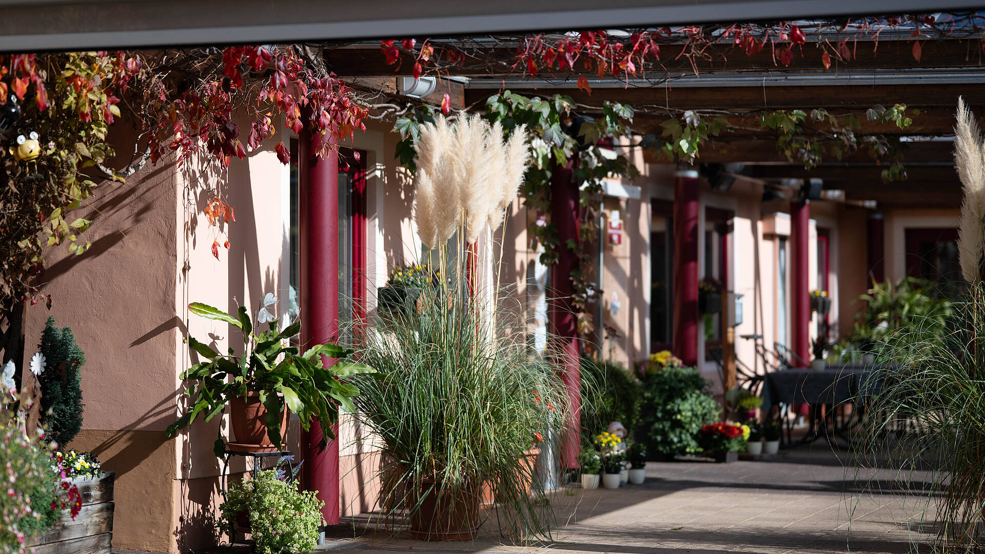 Herbstlich geschmückter Außenbereich des Gasthauses Ogris mit Ziergräsern, Blumen und überdachter Terrasse.