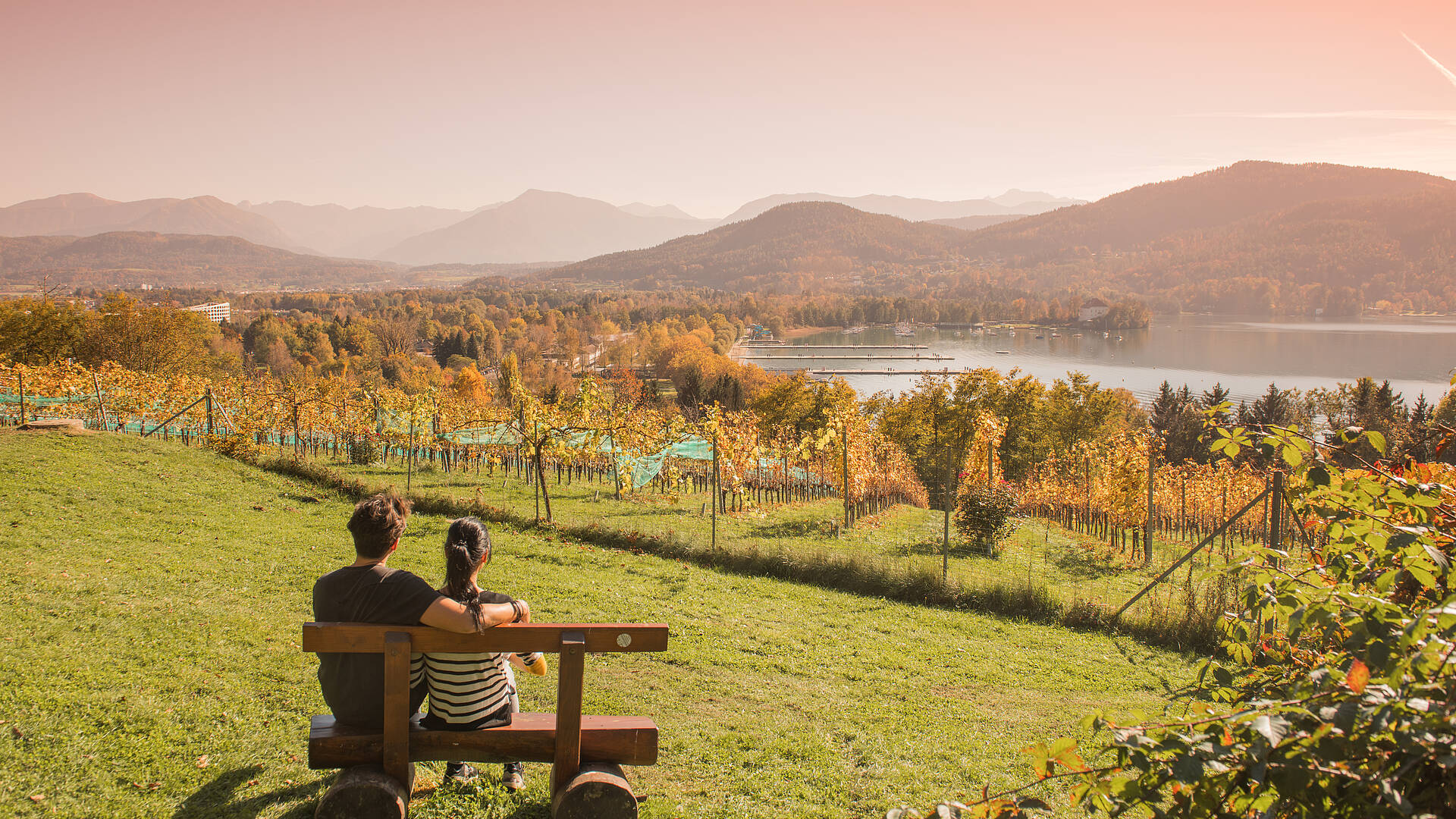 Pärchen am Weinberg im Herbst in Klagenfurt am Woerthersee