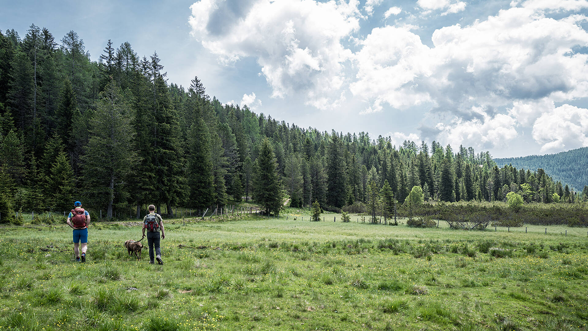 Ein Bergsommer wie damals Hochmoor