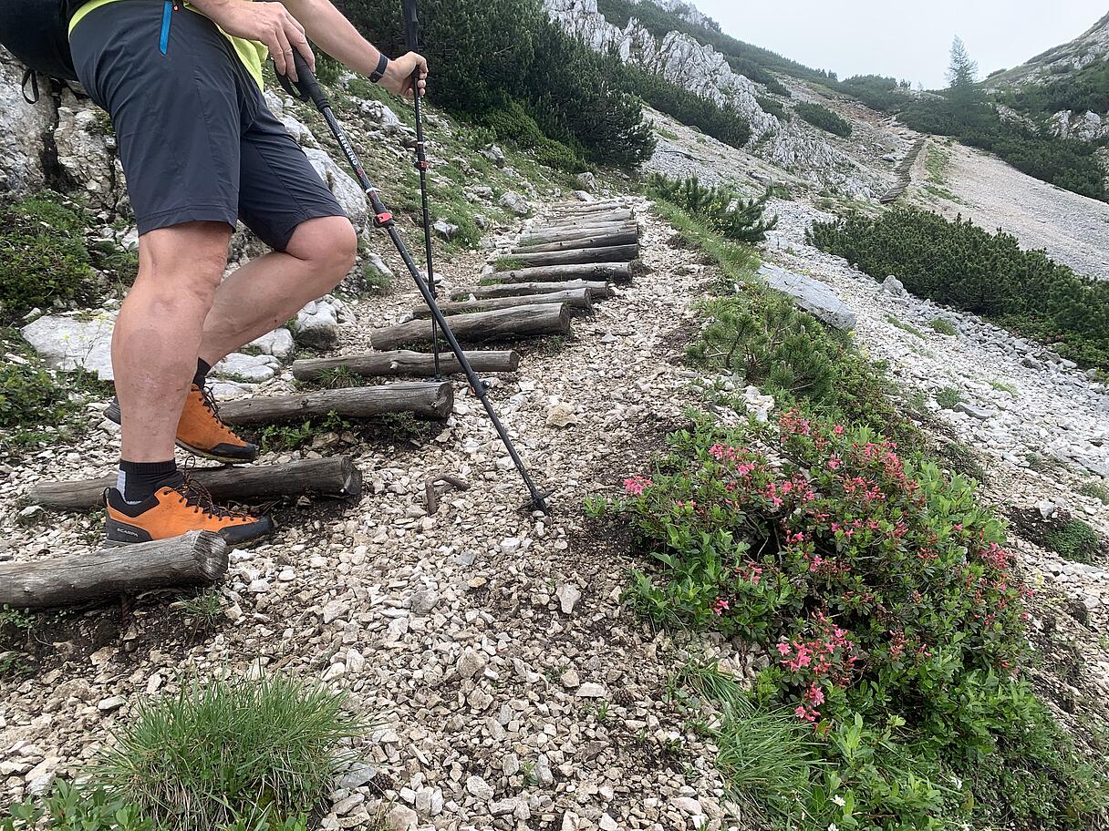 Wandern auf der Petzen über den Kniepssteig Wandern auf der Petzen über den Kniepssteig