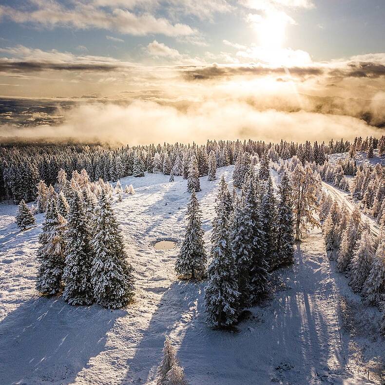 Winterwandern in Kärnten