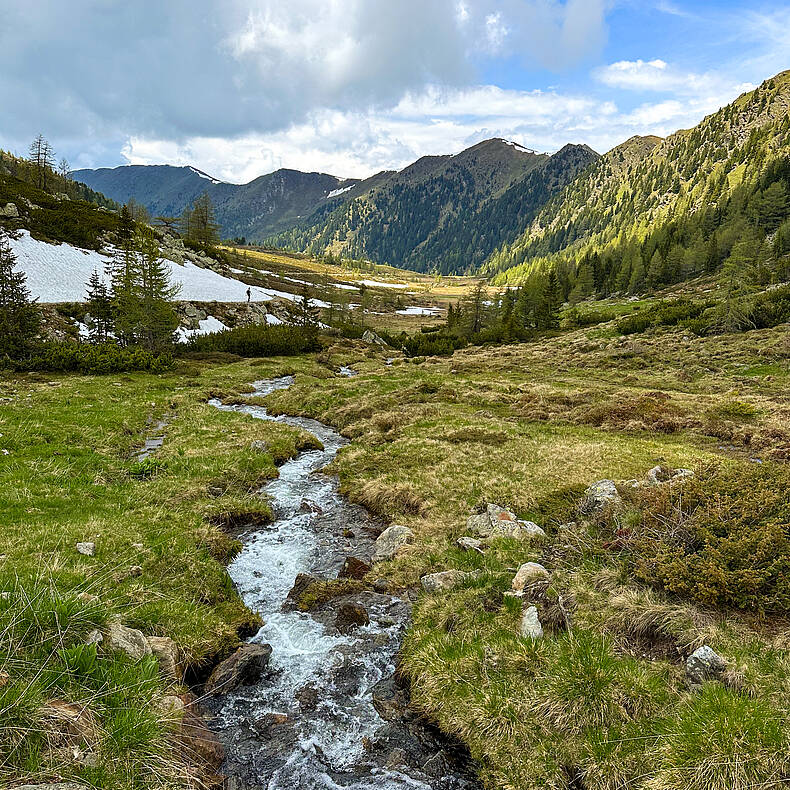 Ein kleiner Bach ist umgeben von saftigen Almen am Nockberge Trail.