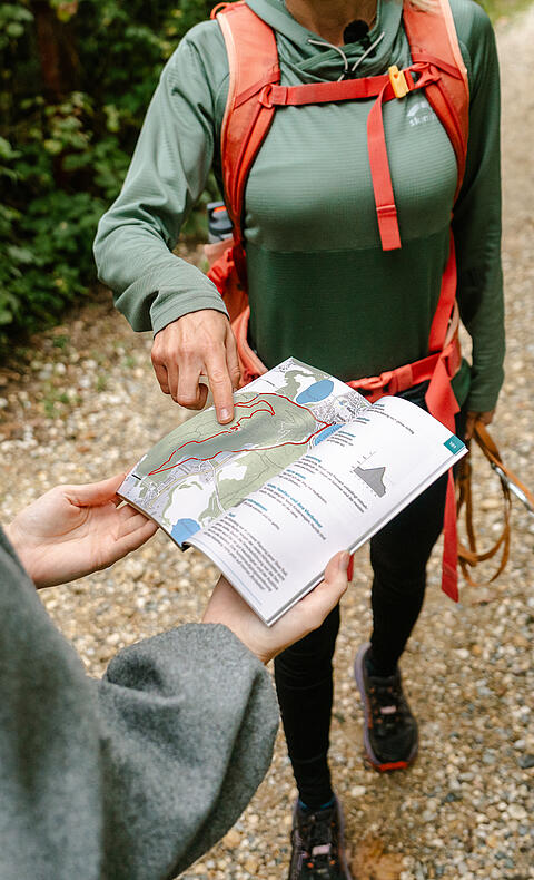 Routenplanung beim Wandern mit Hund Zwei Frauen betrachten eine Wanderkarte, eine zeigt auf die Route, daneben steht ein Dalmatiner an der Leine auf einem Waldweg.
