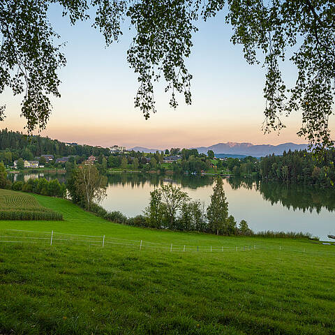 Der idyllische Maltschacher See bei Feldkirchen