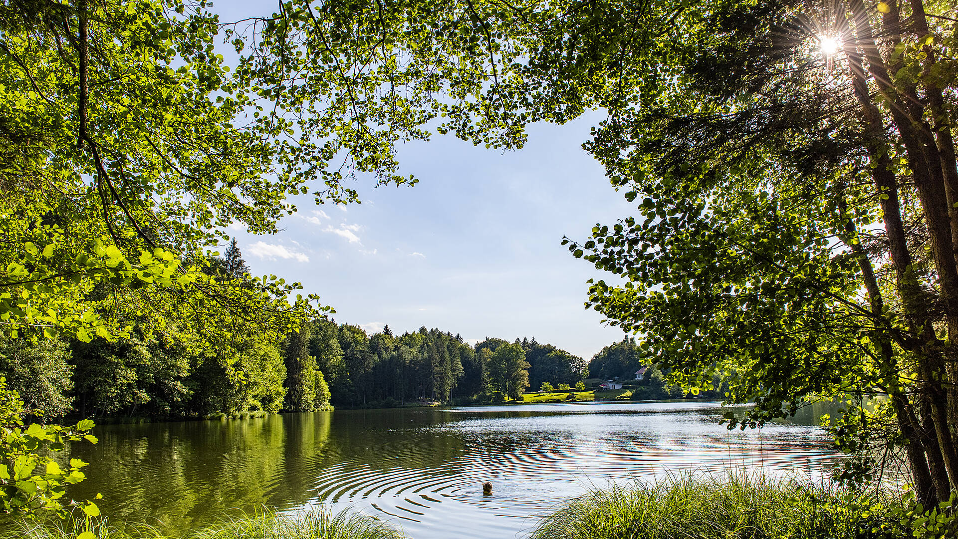 Blick auf den Trattnigteich in der Region Wörthersee-Rosental